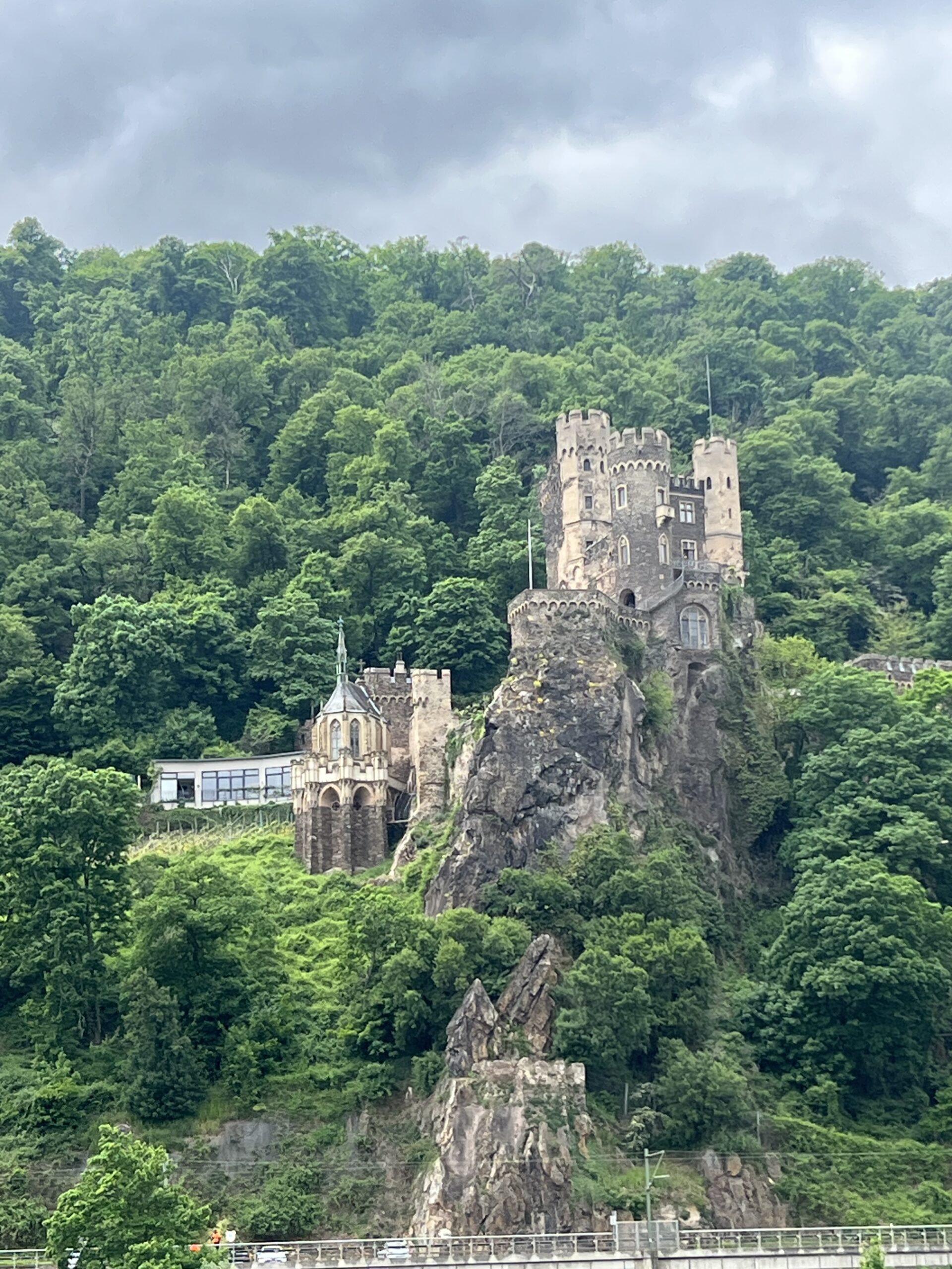 Rhine River Cruises
